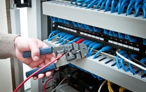 The Backbone of Modern Connectivity: Structured Cabling Services